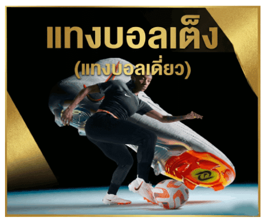 แทงบอลเต็ง